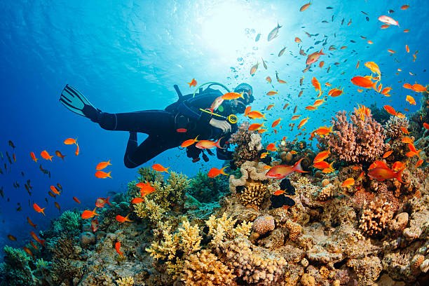 Shore Scuba Diving